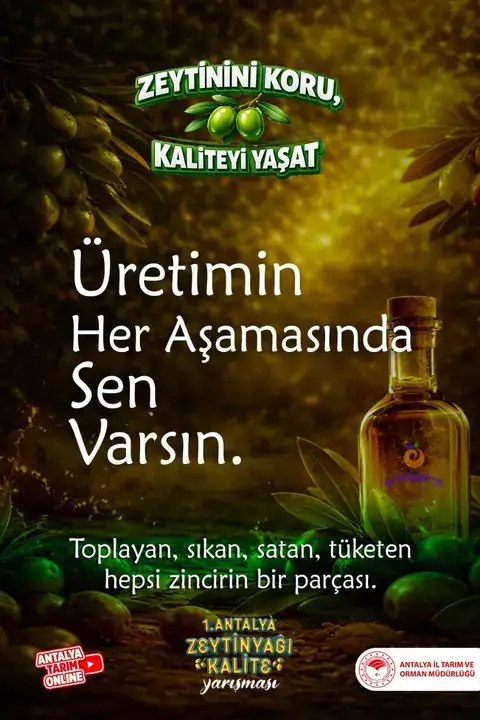 Antalya’da Zeytin Dalından Sofraya Zeytinyağı Kalite Rehberi 3